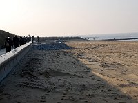 DSC 9146