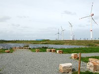 DSC 0053