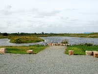 DSC 0055