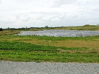 DSC 0059