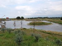 DSC 1223