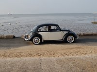 DSC 4102
