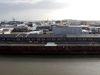 DSC 4501