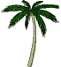 Palme