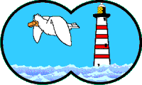 M&ouml;we und Leuchturm