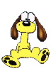 Hund